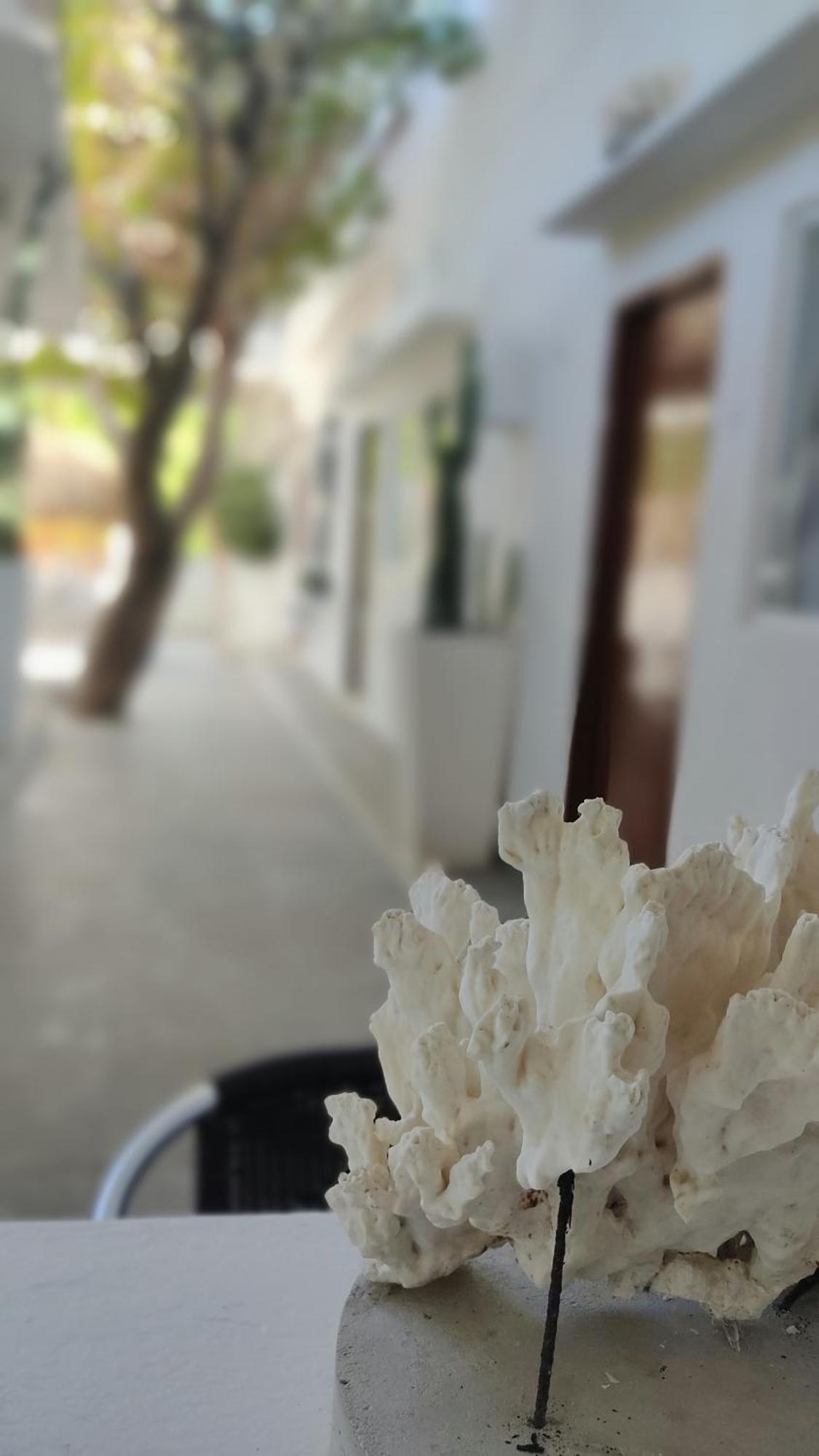 San Onofre Rincon Del Mar Veleros Hotel מראה חיצוני תמונה